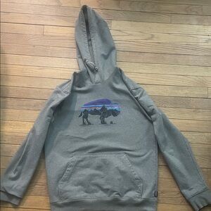 Patagonia Gray Hoodie with Mountain Graphic